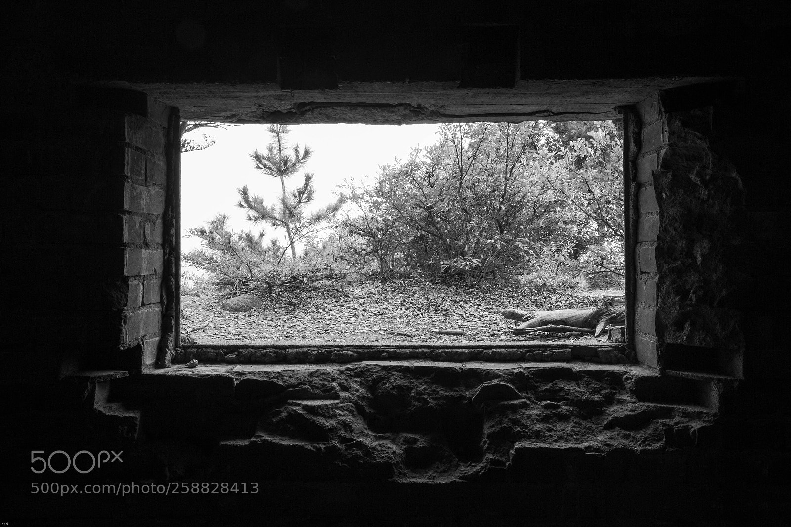 Canon EOS-1D X sample photo. Picture frame photography