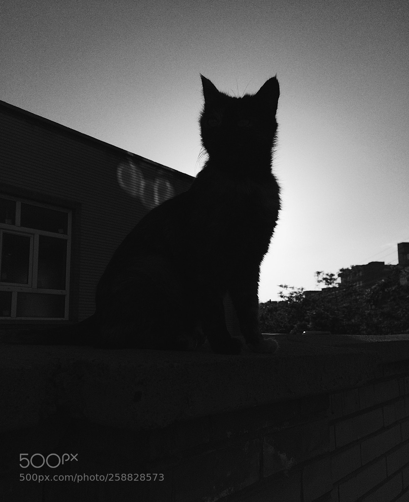 Apple iPhone 5s sample photo. Untitled photography