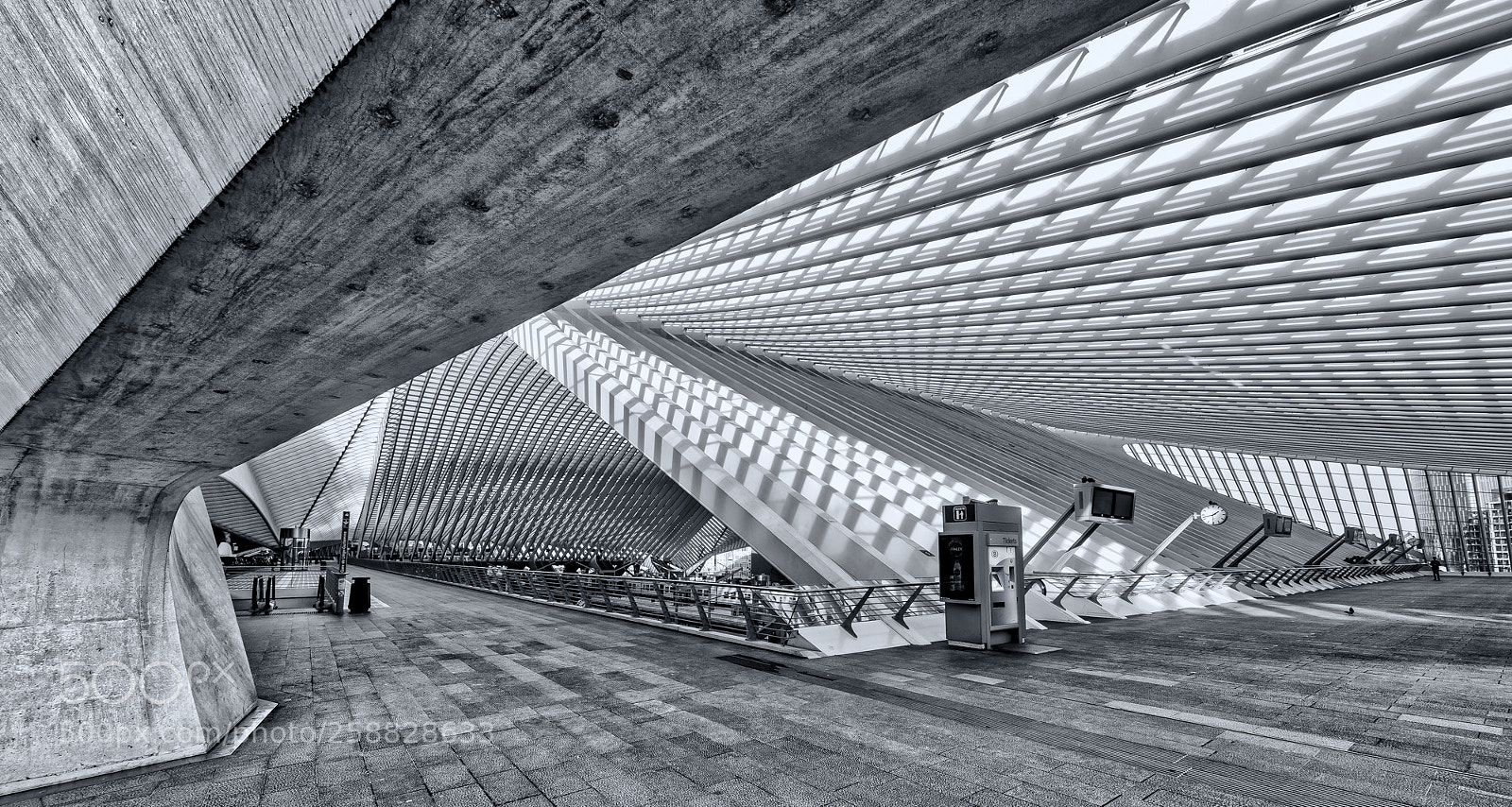Nikon D4S sample photo. Inside guillemins ! photography