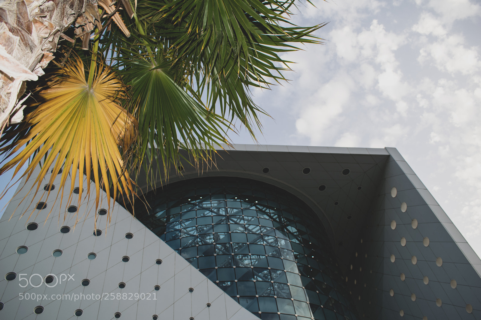 Nikon D5300 sample photo. Green planet photography
