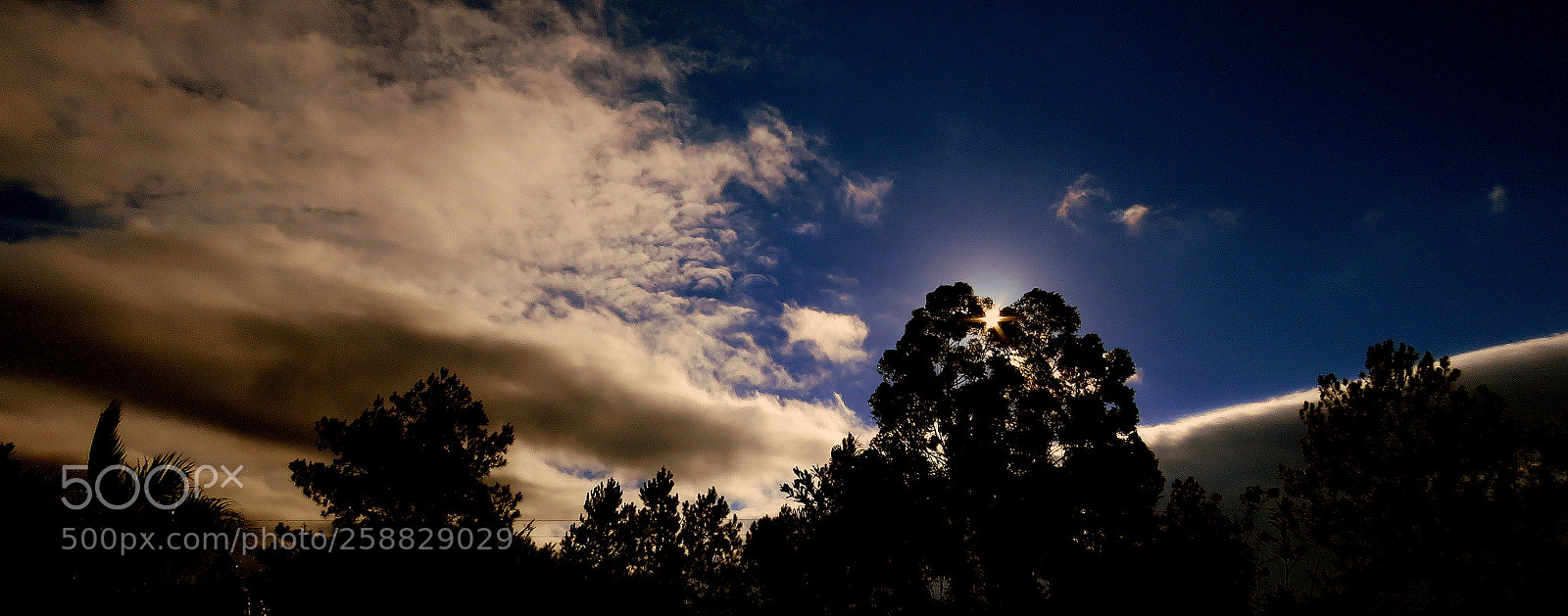 Canon PowerShot SX60 HS sample photo. Brights in the sky .... photography