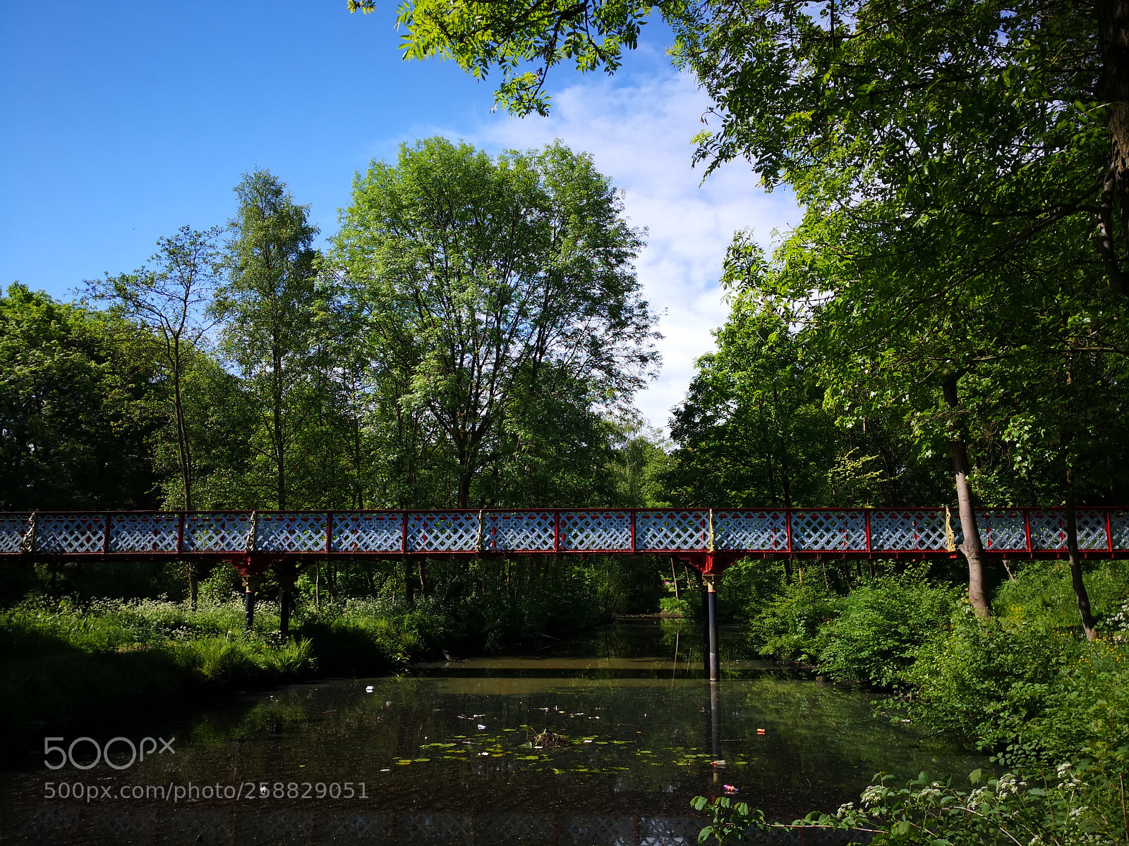 HUAWEI Mate 10 Pro sample photo. Queens park bolton photography