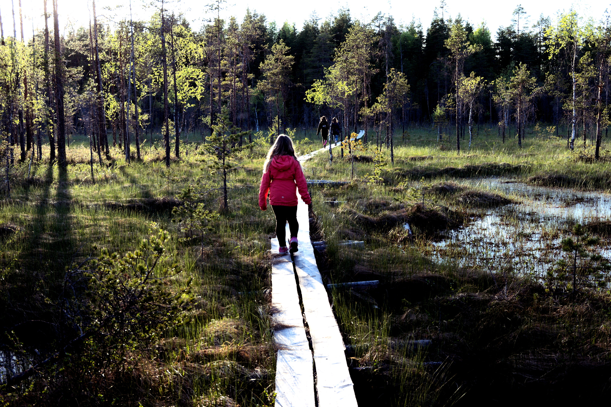 Pentax K-7 sample photo. Hiking in salamajärvi national park photography