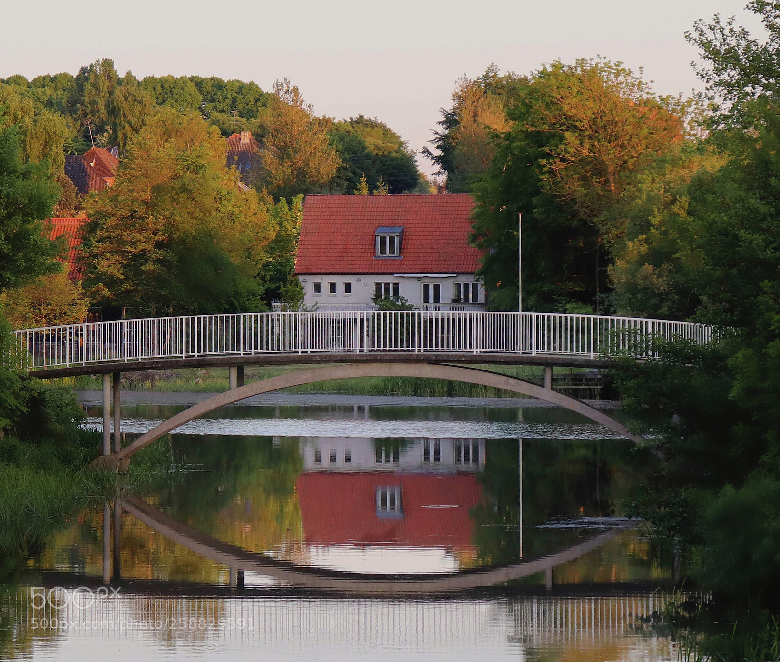 Canon EOS 200D (EOS Rebel SL2 / EOS Kiss X9) sample photo. House by the pond photography