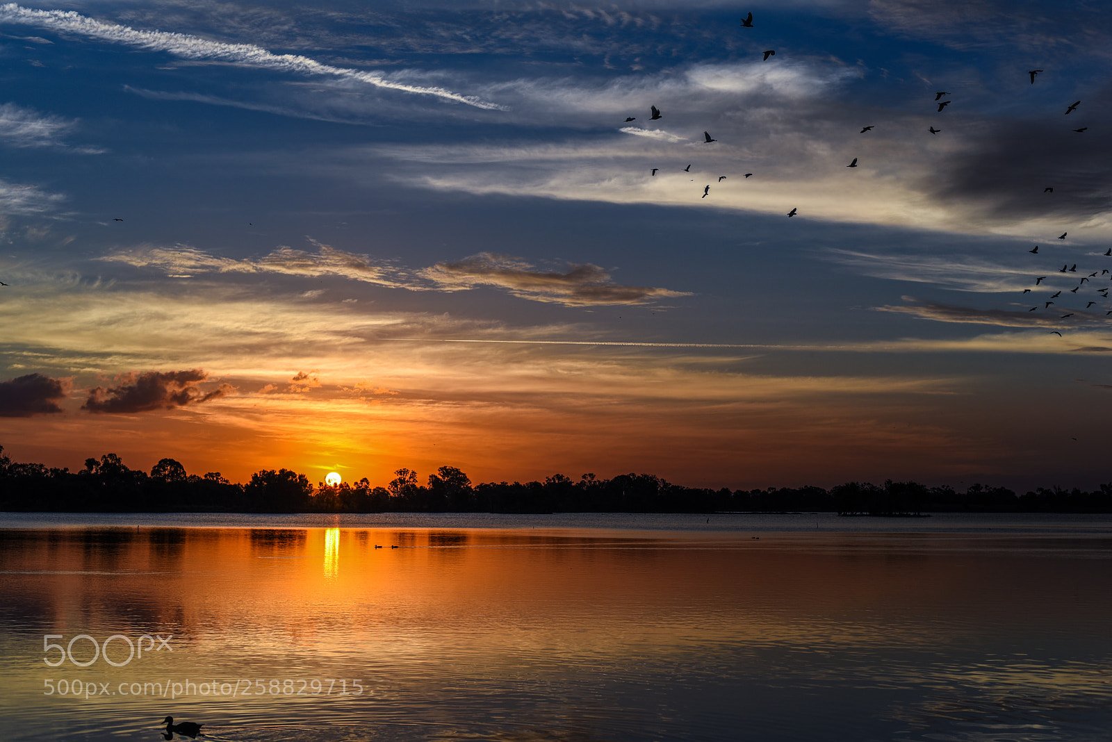 Nikon D750 sample photo. Reflecting sunset photography