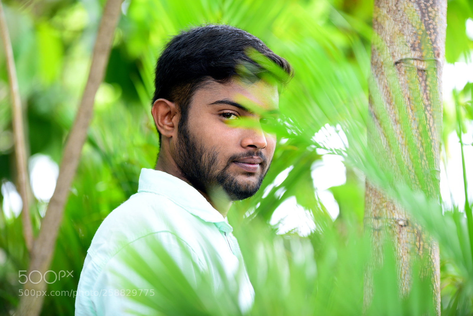 Nikon D750 sample photo. Untitled photography