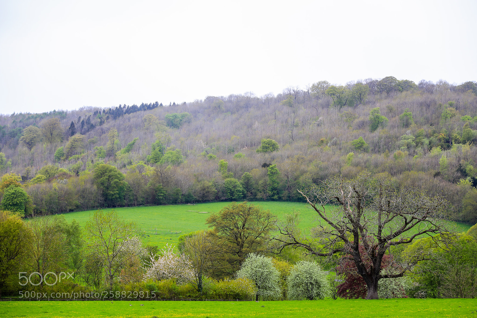 Canon EOS 5D Mark IV sample photo. Untitled photography