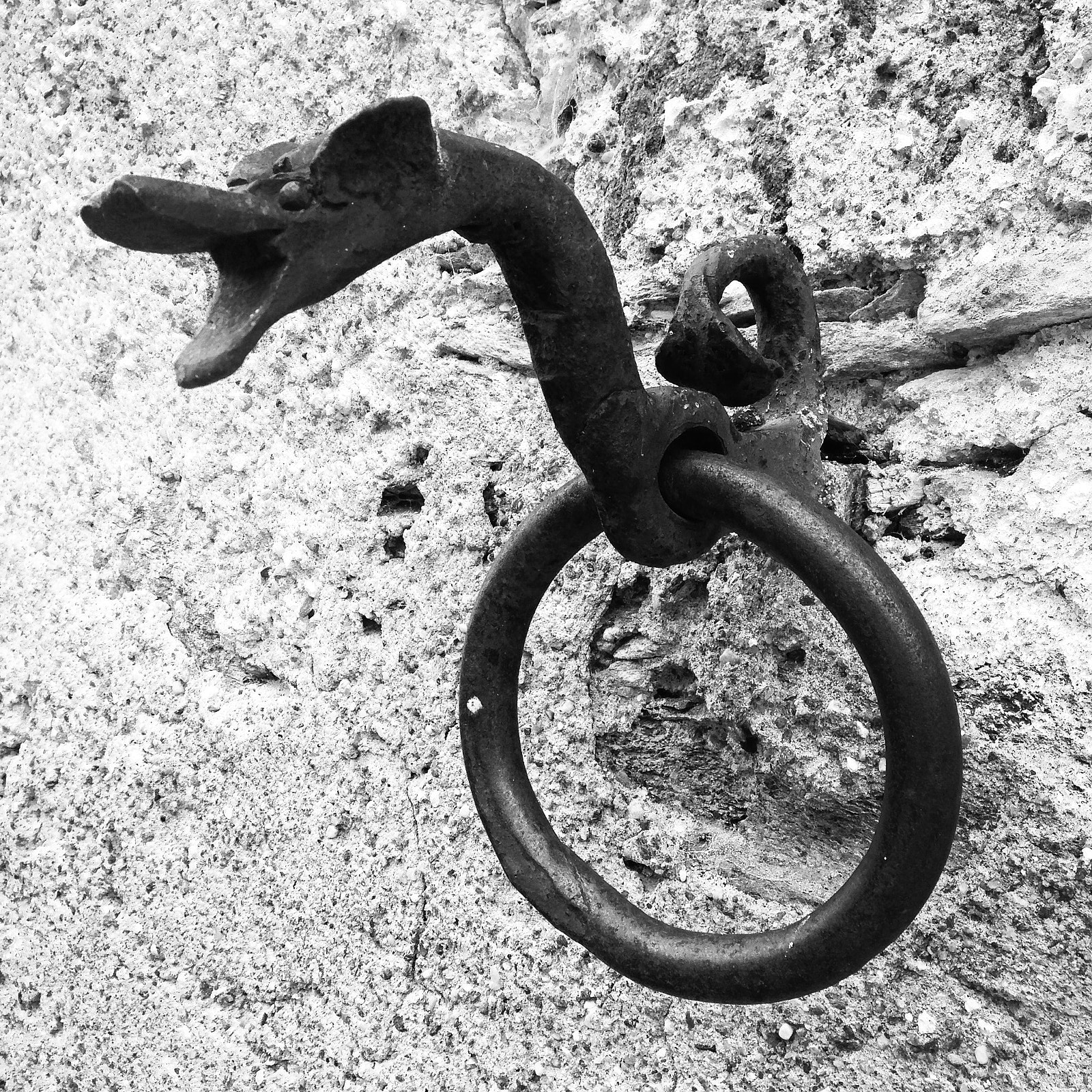 Apple iPhone 5 sample photo. Leave your dragon here.  photography