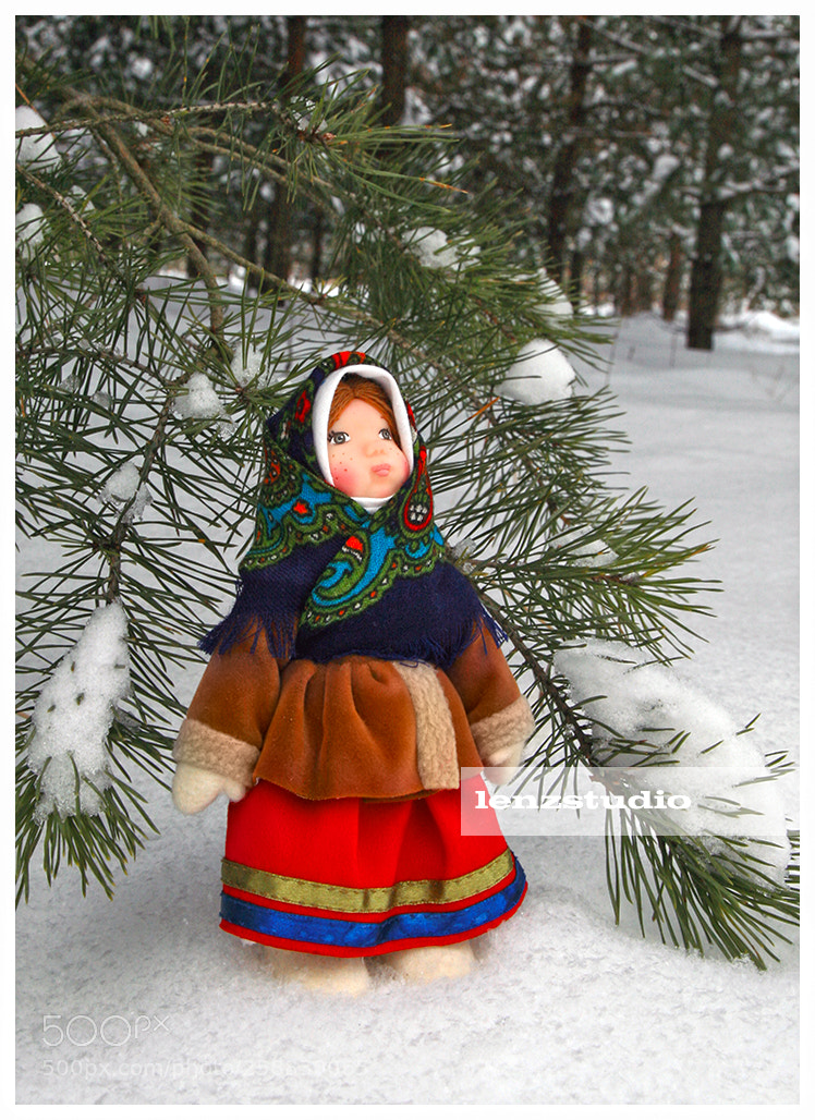 Canon EOS 5D sample photo. #1. january. (nyushenka) photography