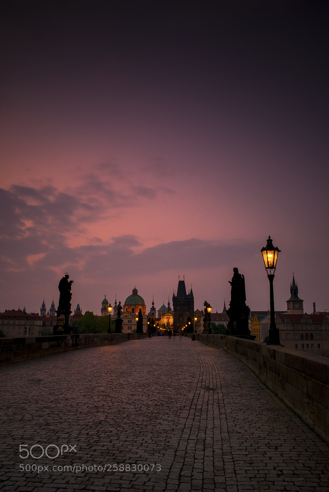 Nikon D800E sample photo. Prague in the dawn photography