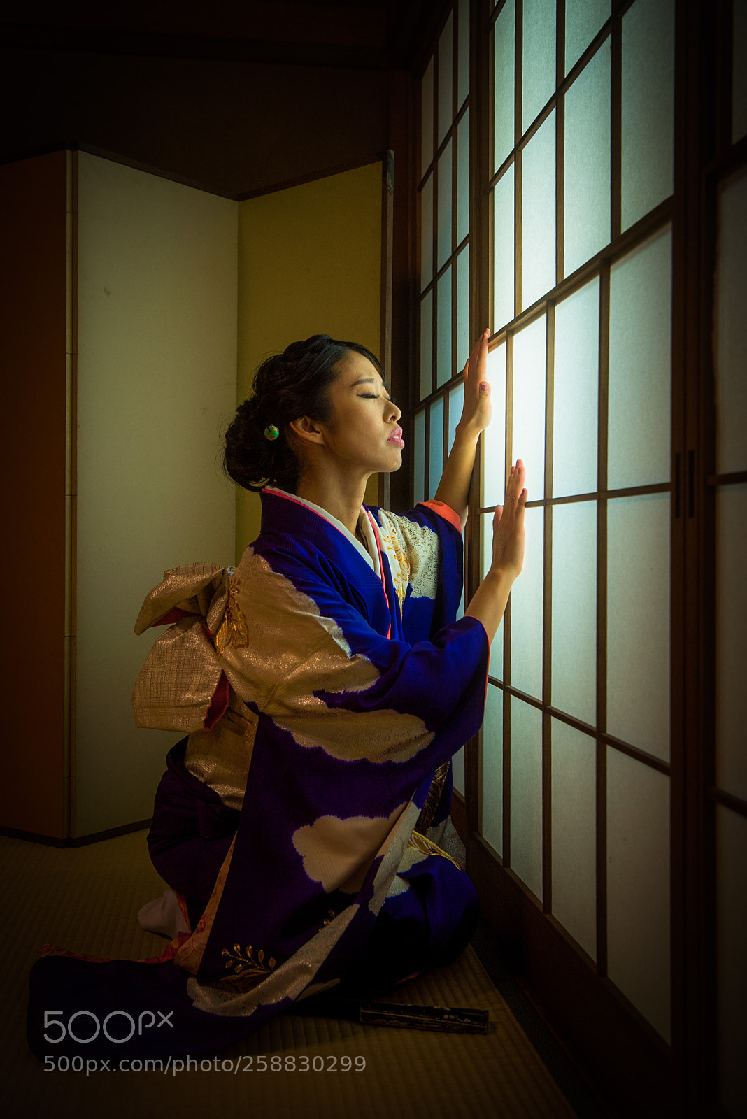 Nikon D810 sample photo. Shachi-69 photography