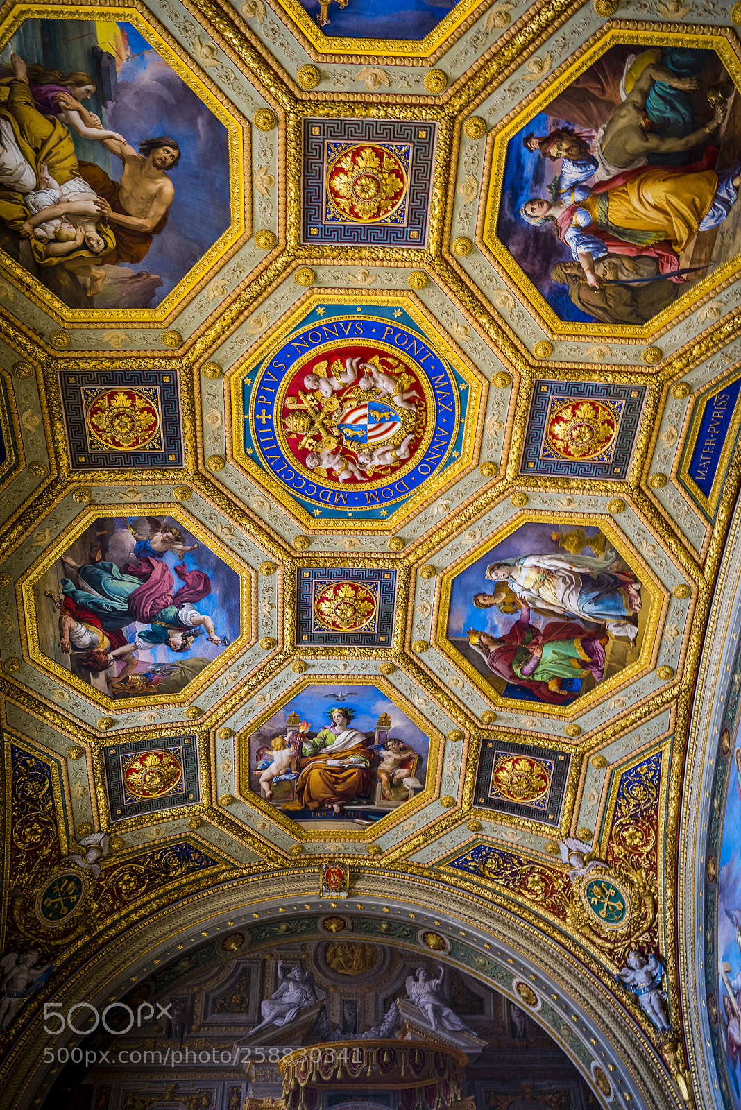 Nikon D810 sample photo. Untitled photography