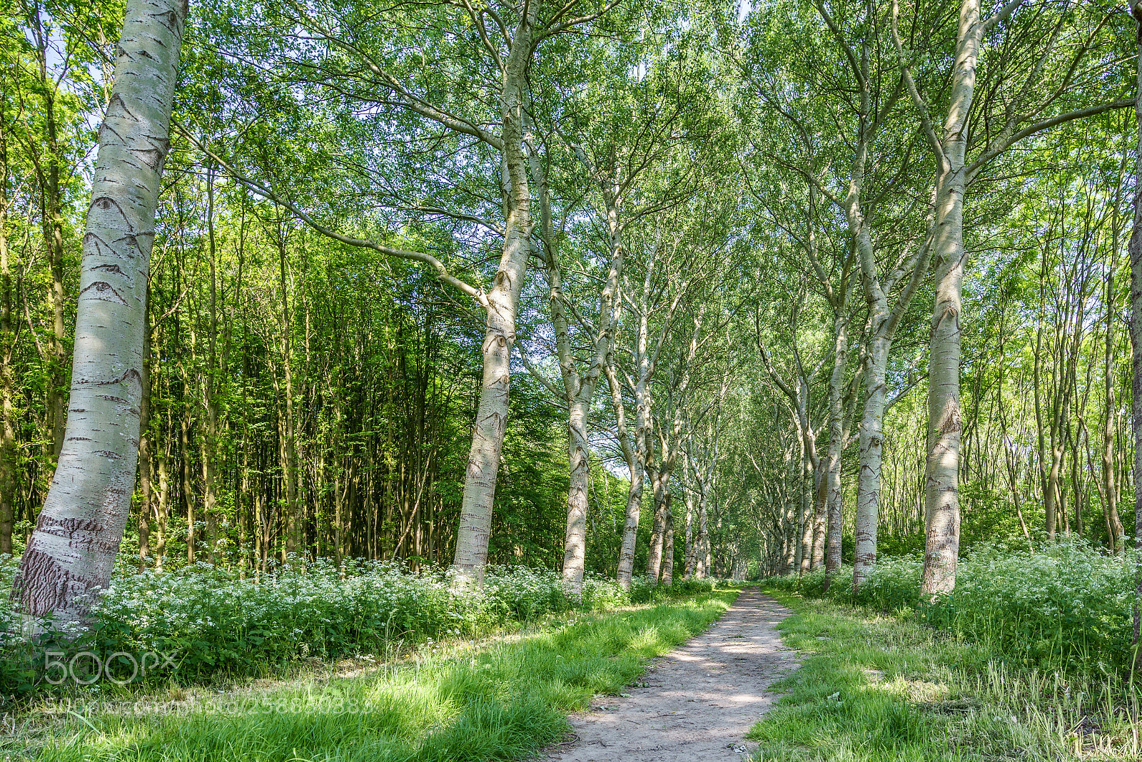 Sony a7R sample photo. Walking rockanje photography