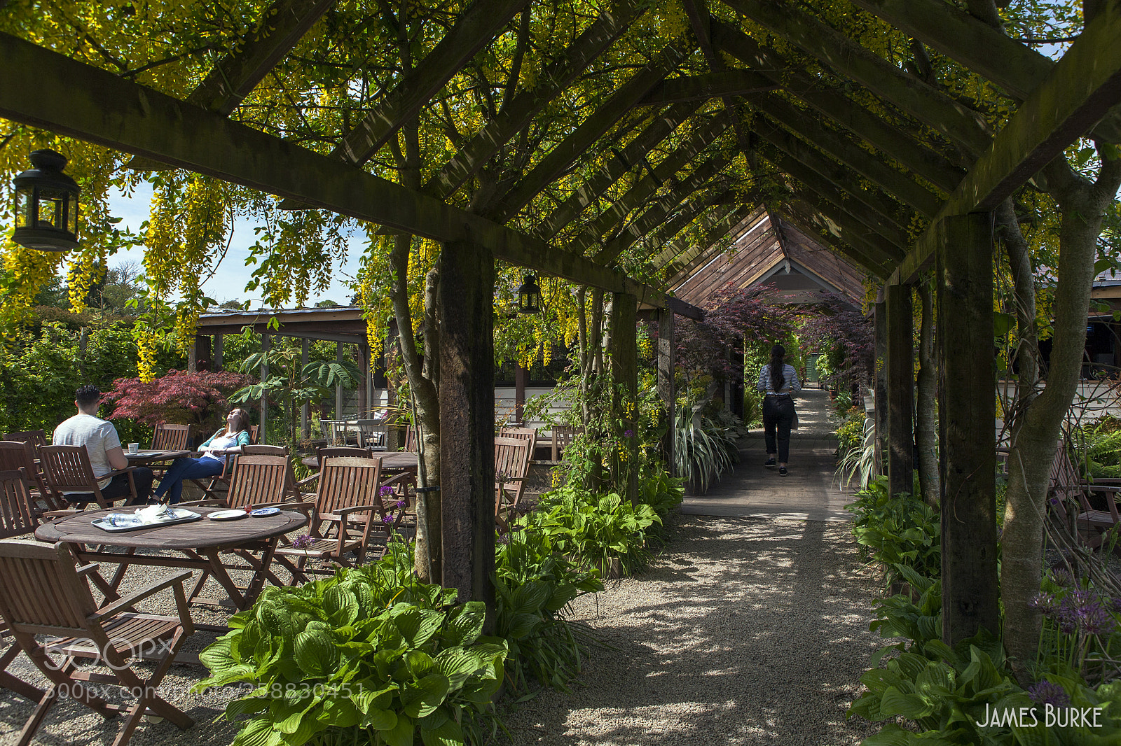 Canon EOS 5D sample photo. Garden cafe photography