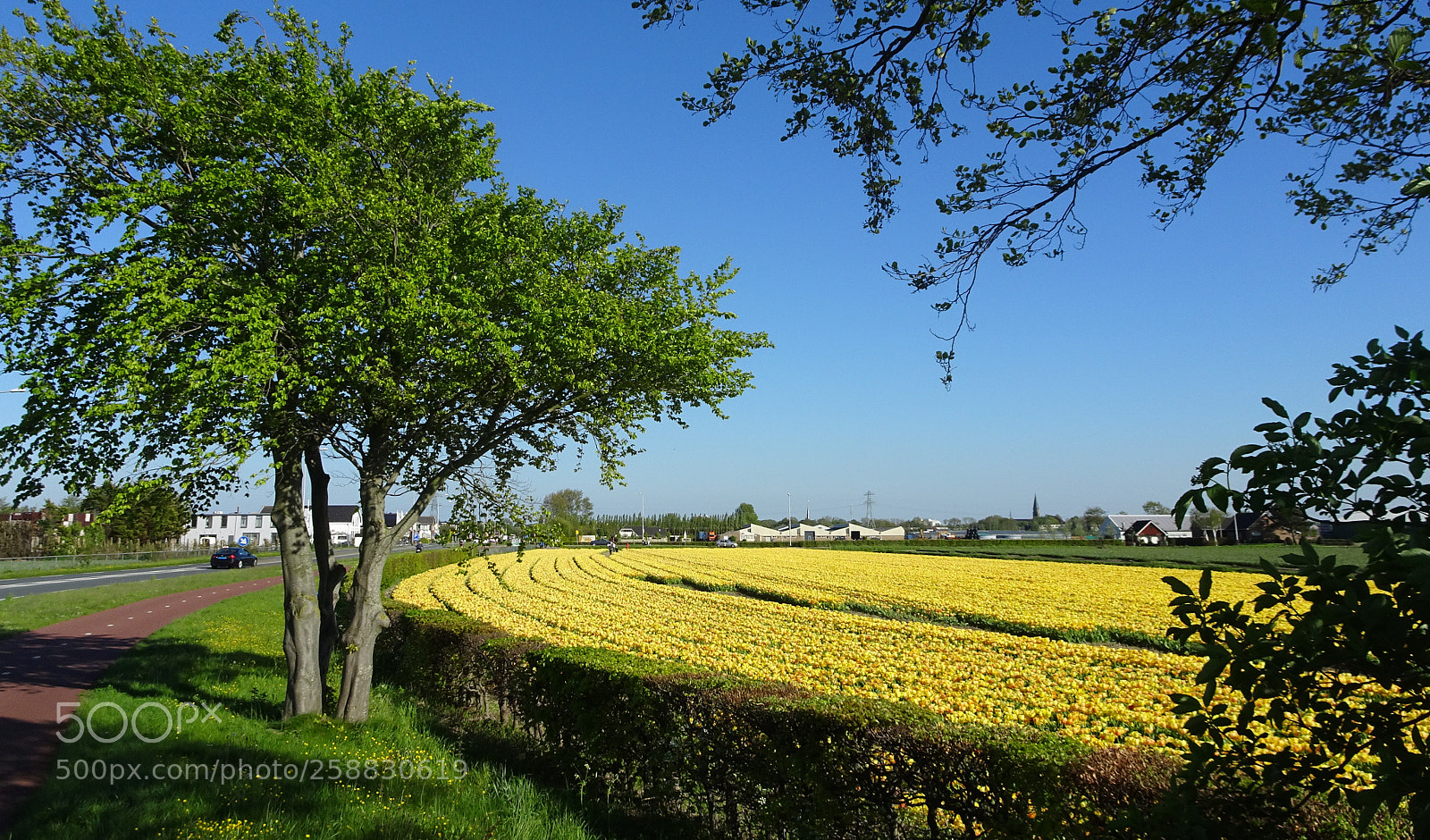 Sony Cyber-shot DSC-HX90V sample photo. Dsc photography