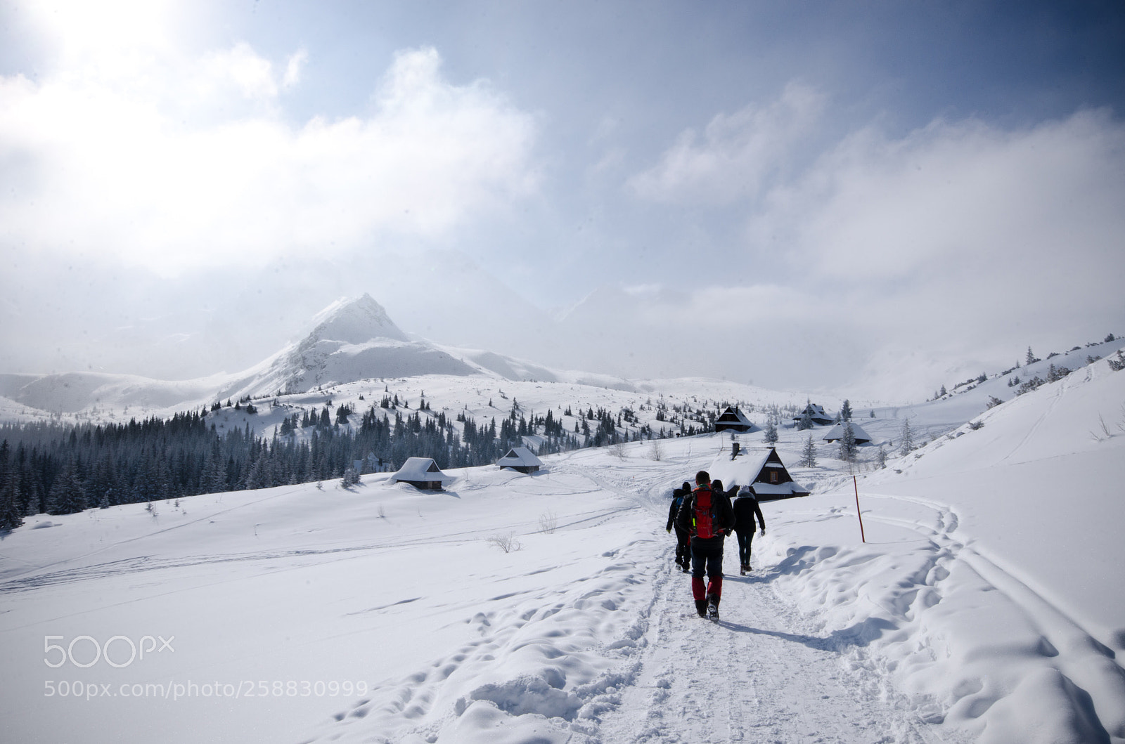 Nikon D7000 sample photo. Winter photography