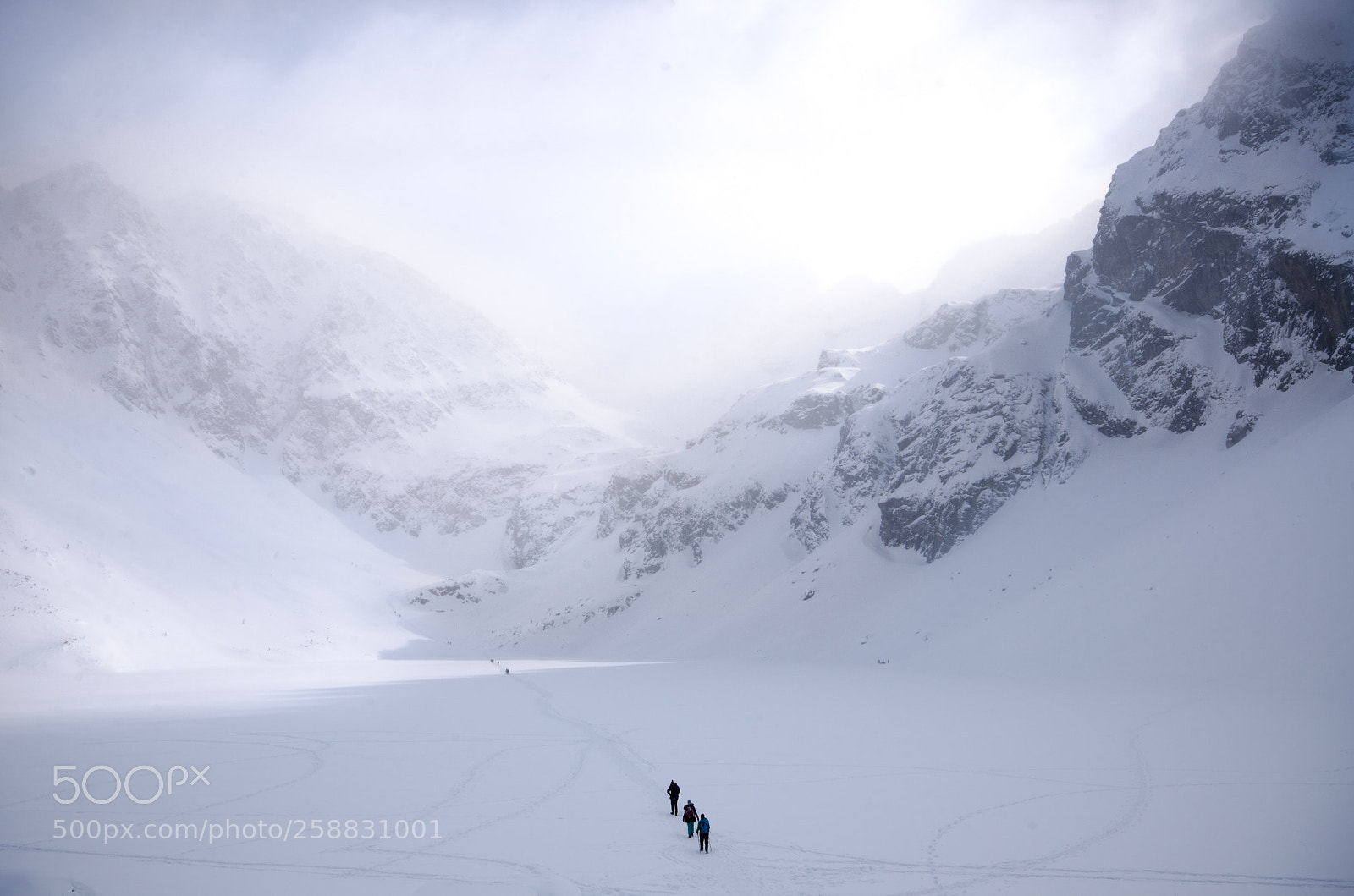Nikon D7000 sample photo. Winter photography