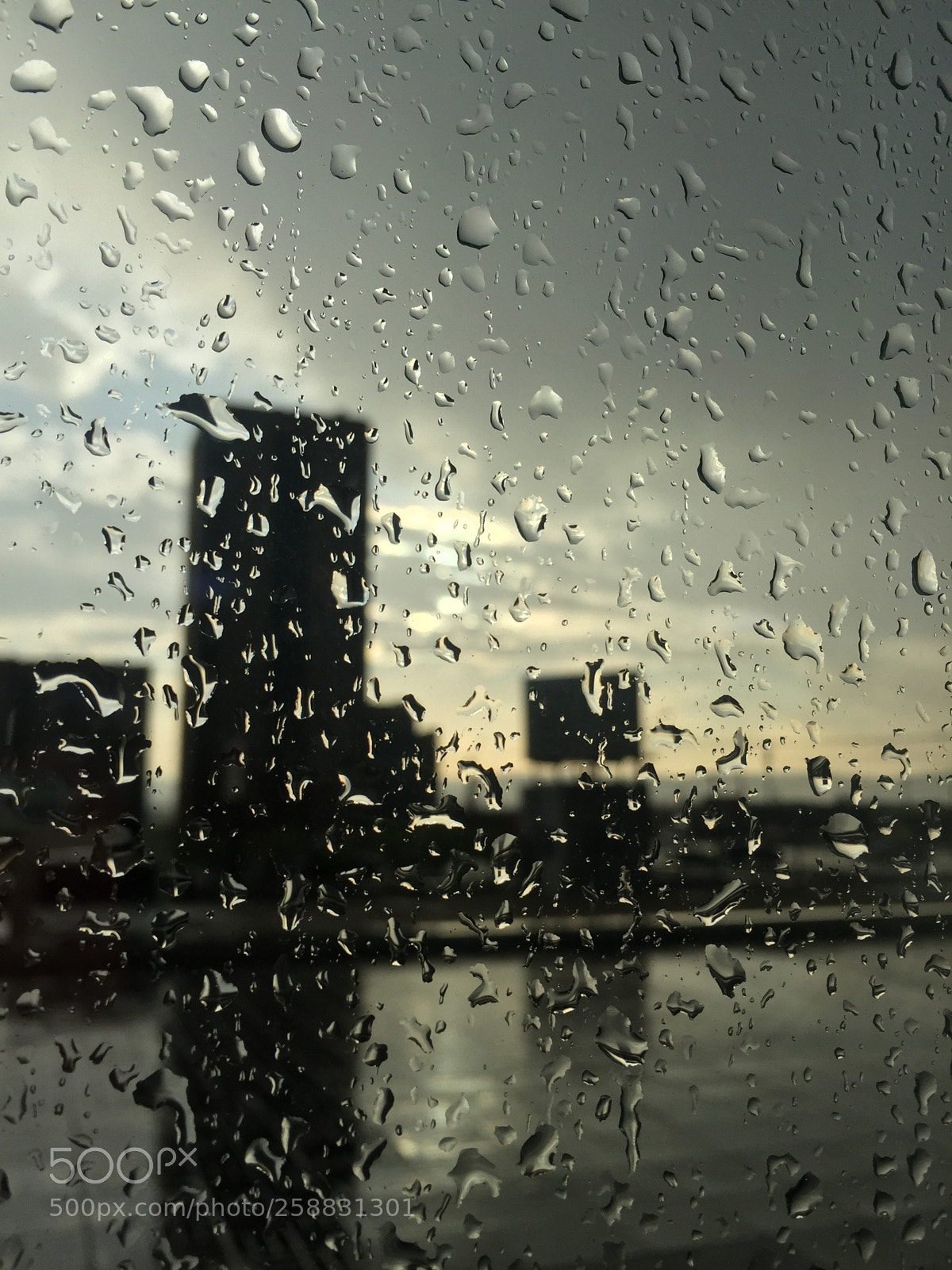 Apple iPhone 6 sample photo. Untitled photography
