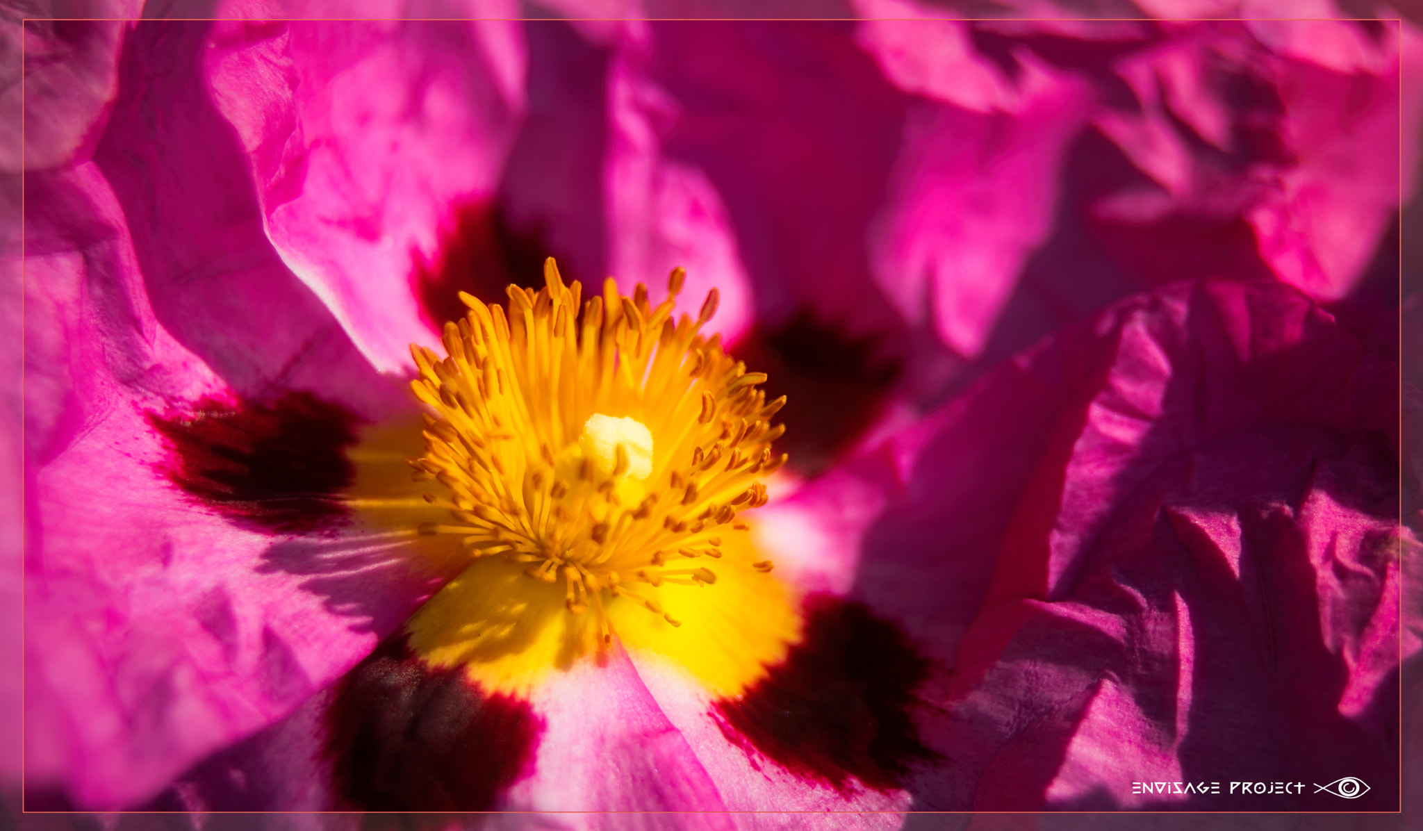 Sony a7R sample photo. Explosion in a red landscape photography