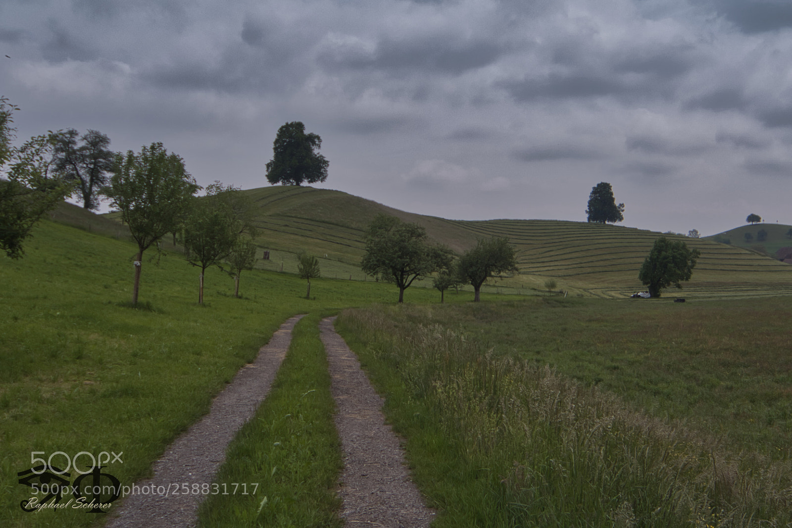 Canon EOS 7D Mark II sample photo. Menzingen photography