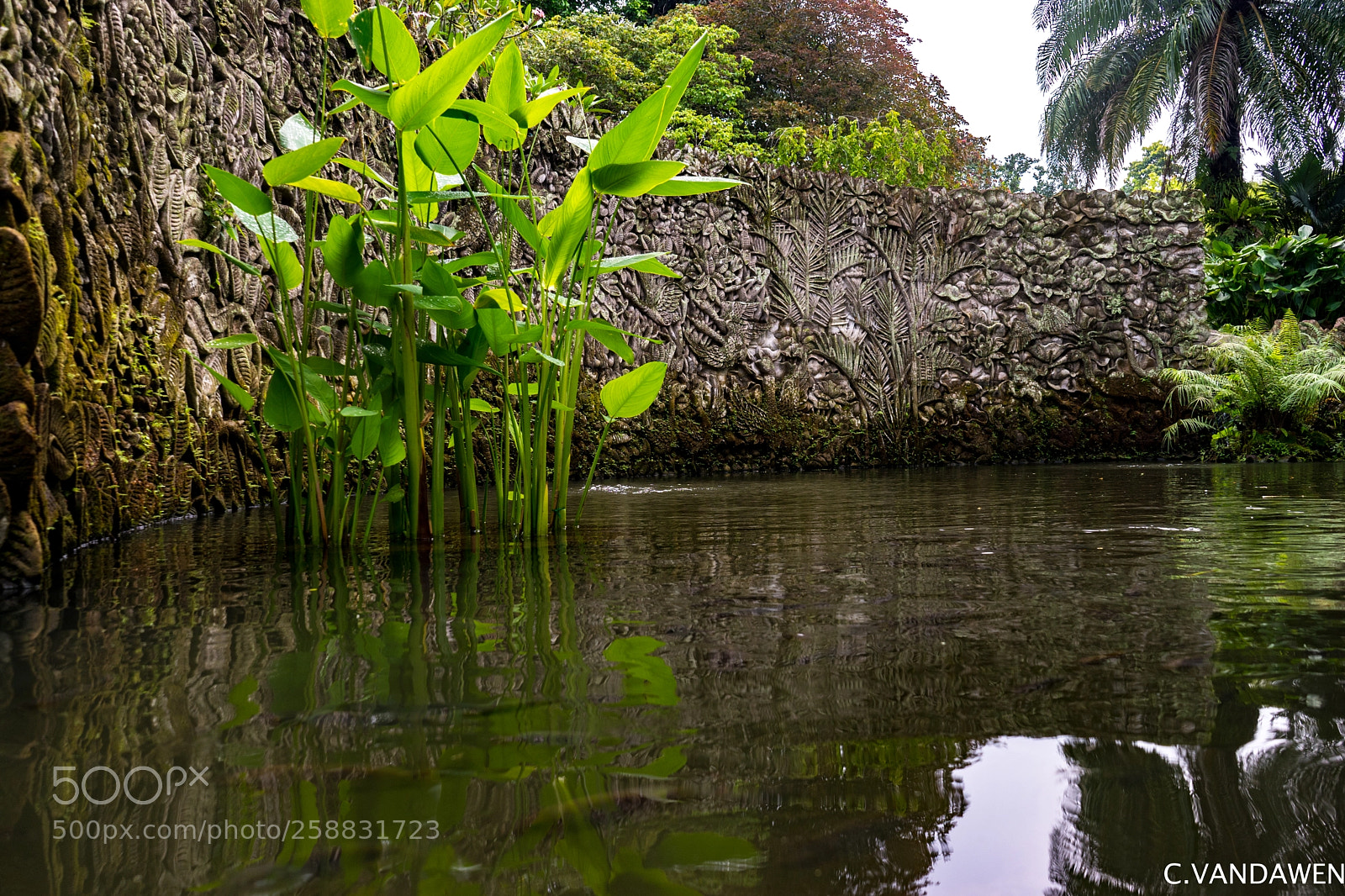 Sony a7 sample photo. Reflection photography