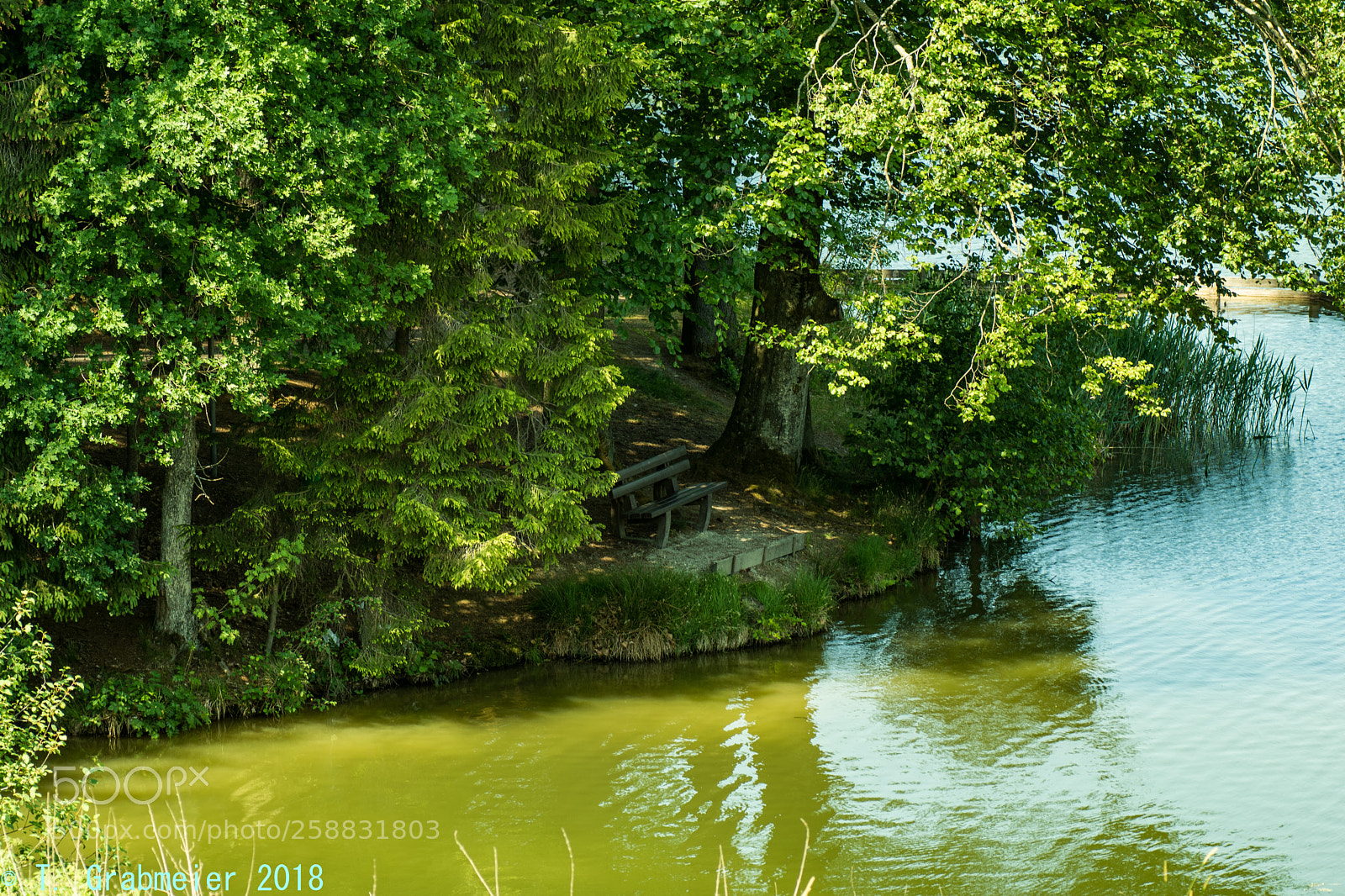 Nikon D5500 sample photo. Dsc photography