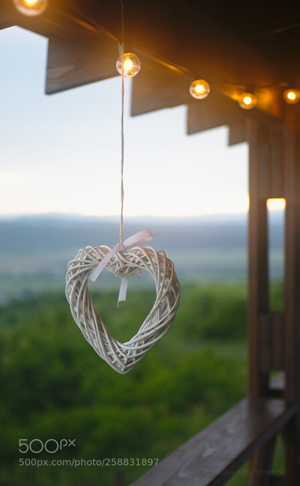 Canon EOS 5D Mark II sample photo. Love is in the photography