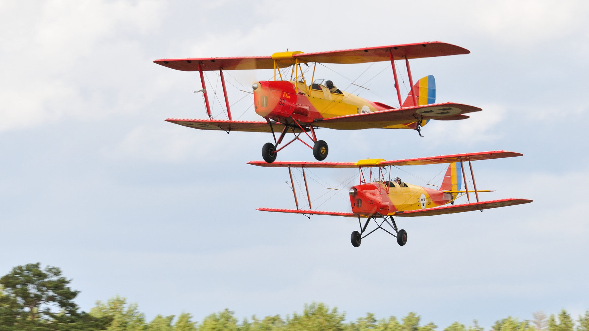 Nikon D300S sample photo. Tiger moths photography