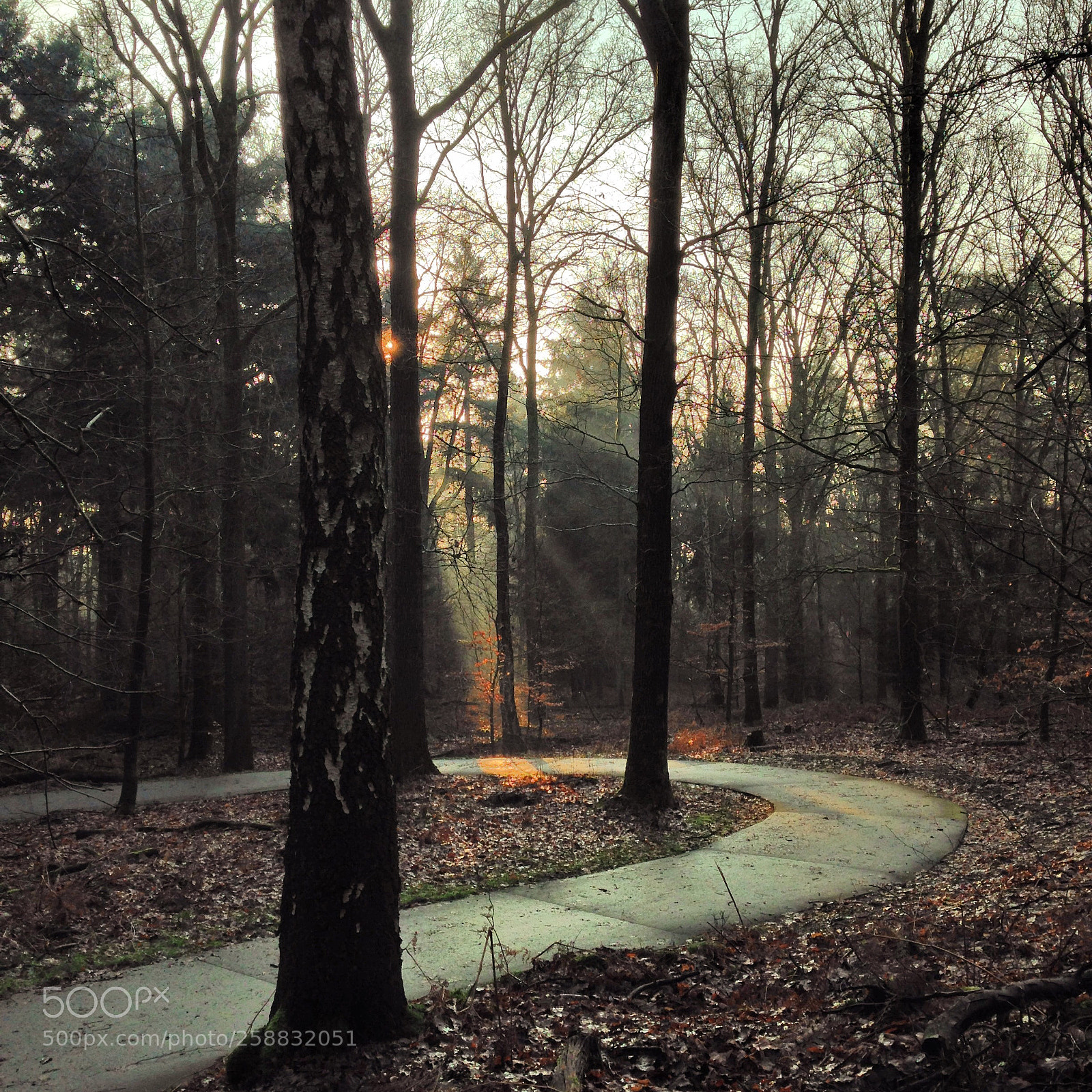 Apple iPhone 5 sample photo. Mother nature is waking photography