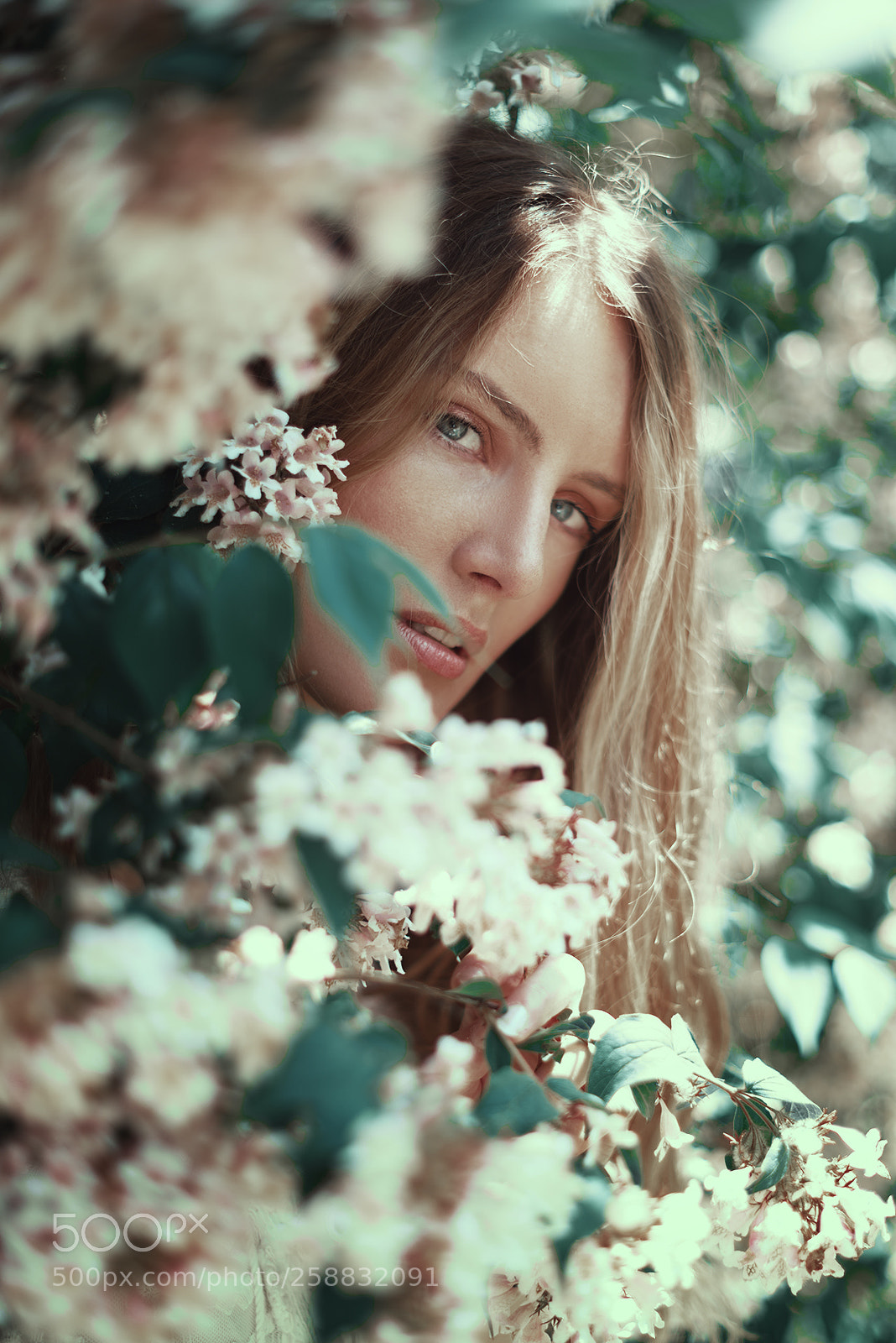 Nikon D750 sample photo. Alessia photography