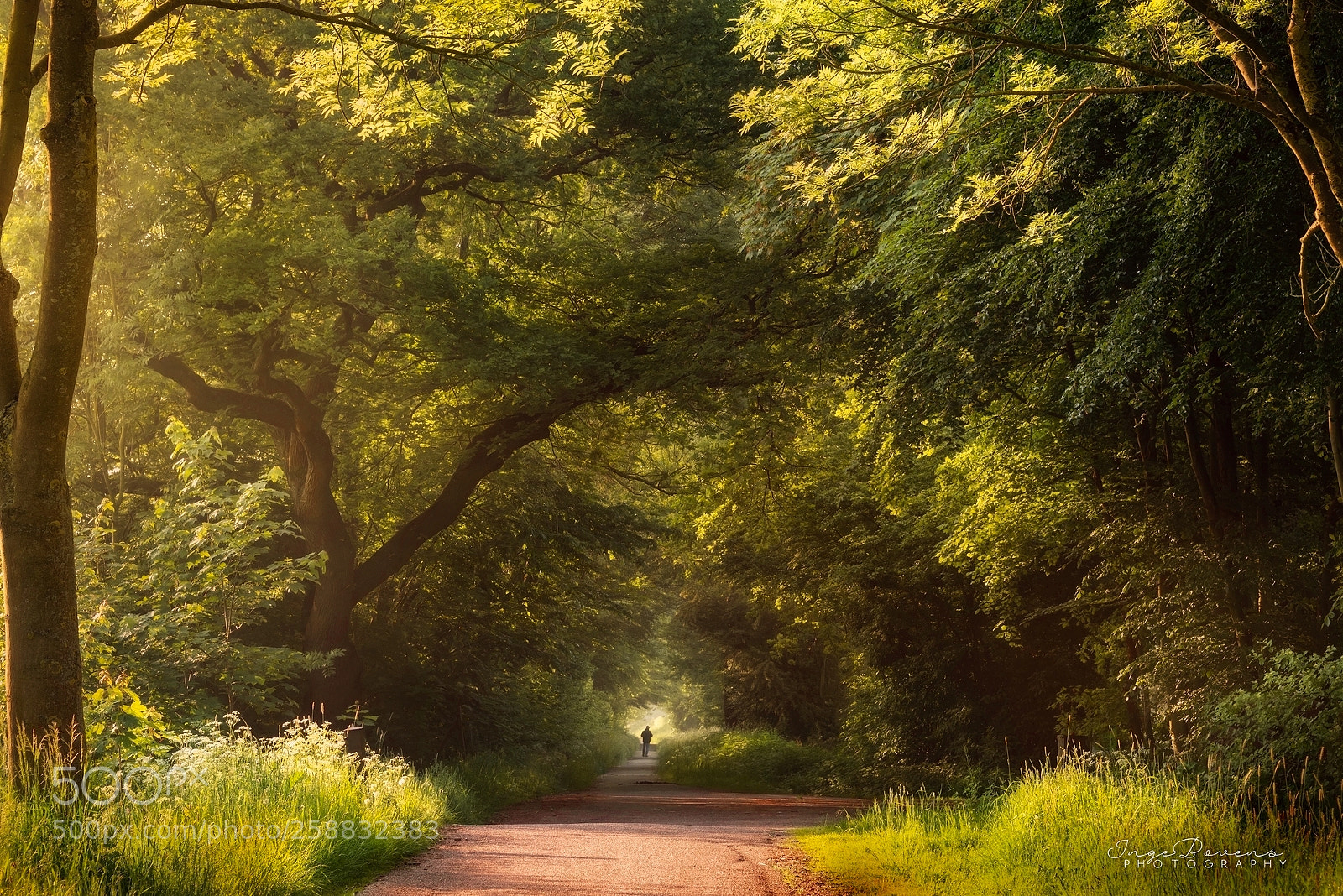 Nikon D750 sample photo. A morning in may. photography