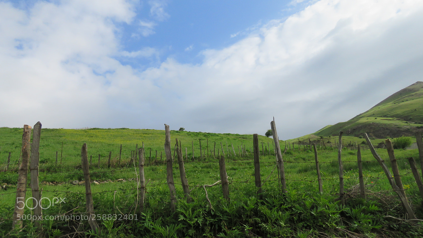 Canon PowerShot SX60 HS sample photo. Img photography