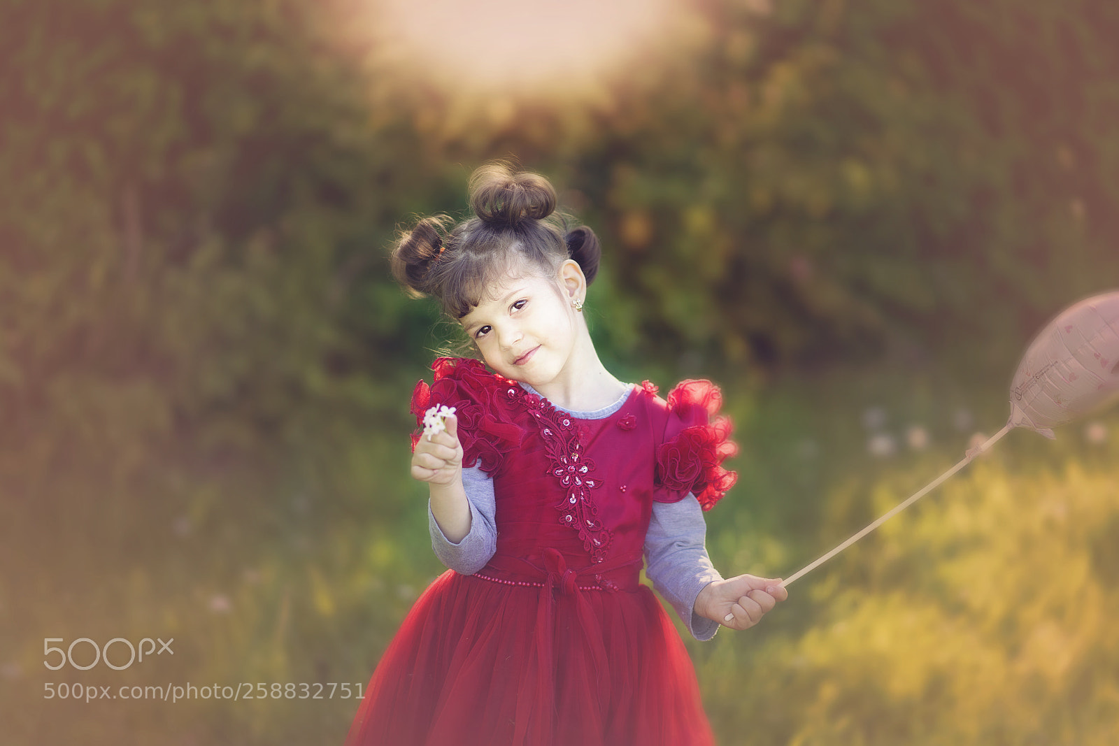 Sony a7 II sample photo. Untitled photography