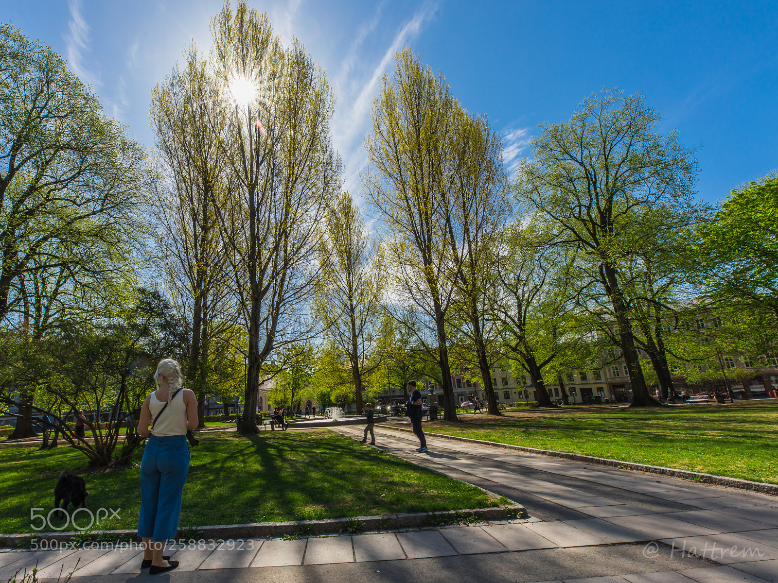 Canon EOS 5D Mark IV sample photo. Sunday in the park photography