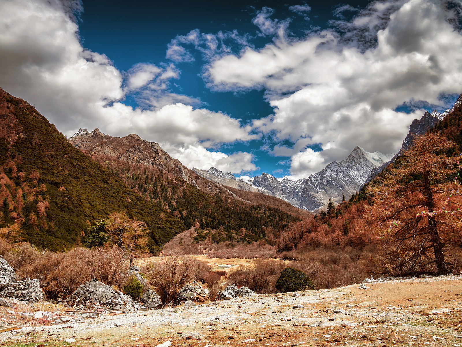 Olympus OM-D E-M1 Mark II sample photo. Yading nature reserve of photography