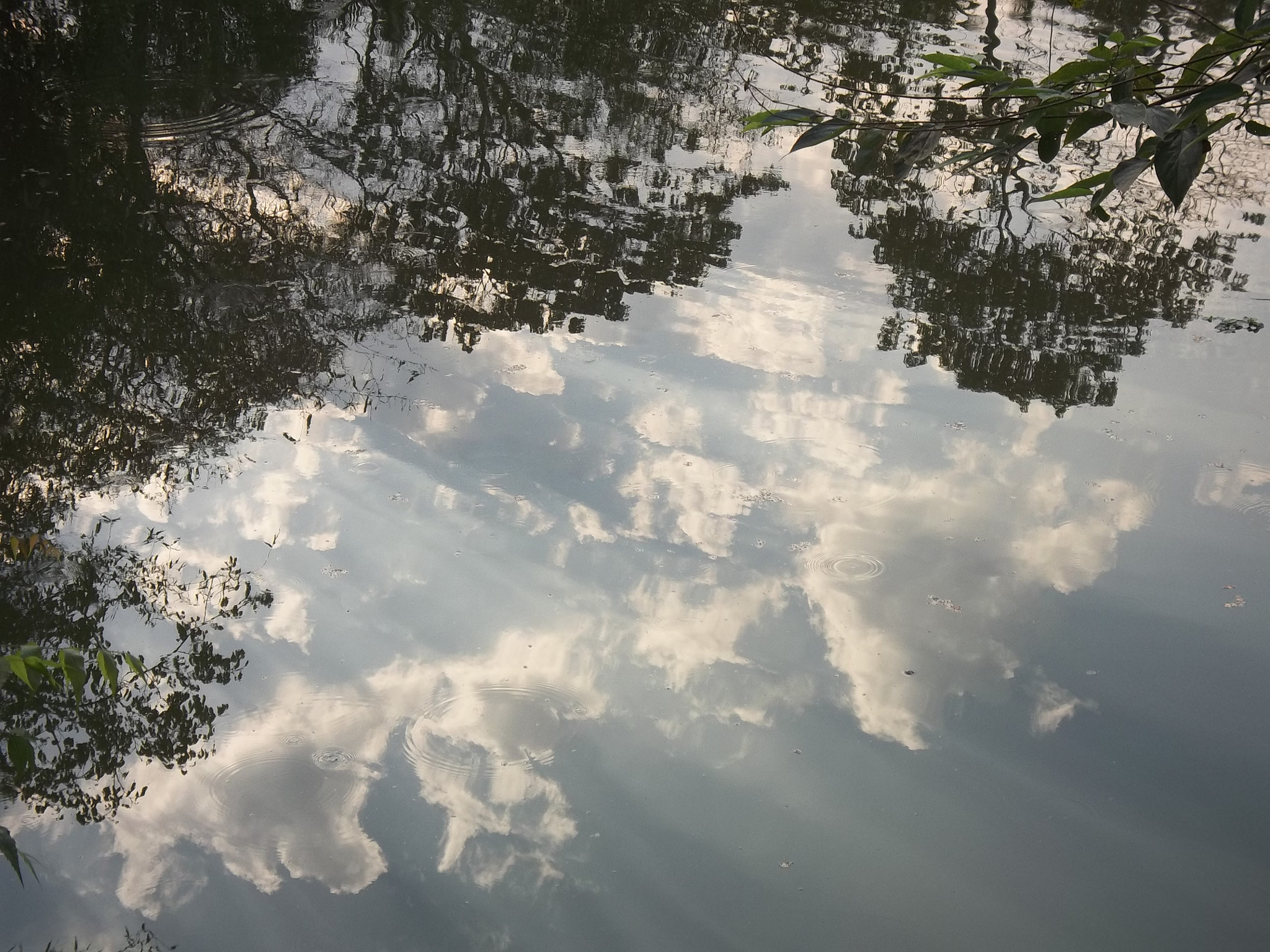 Kodak EASYSHARE CAMERA, M522 sample photo. The beautiful sky photography