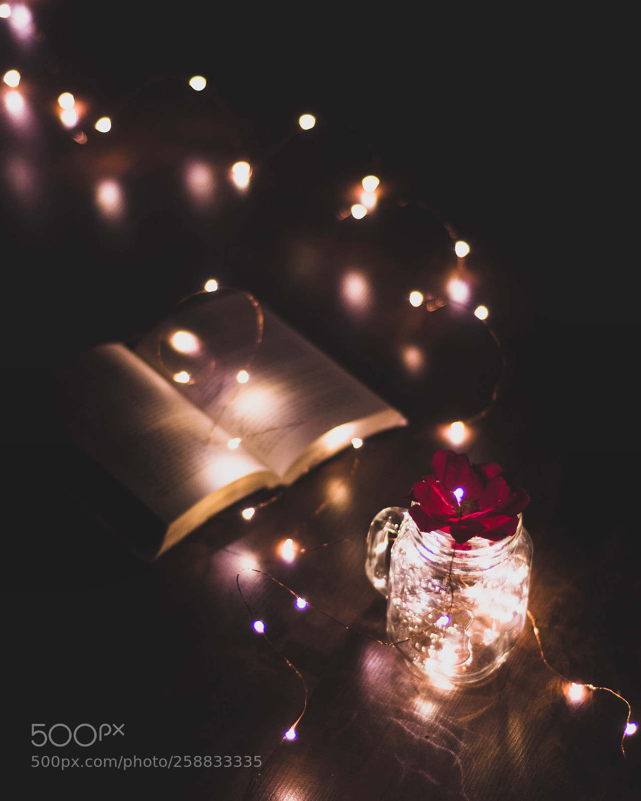 Nikon D7200 sample photo. The enchanter’s. (ii) photography