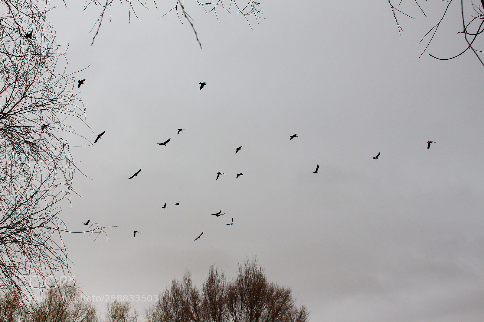 Canon EOS 700D (EOS Rebel T5i / EOS Kiss X7i) sample photo. Untitled photography