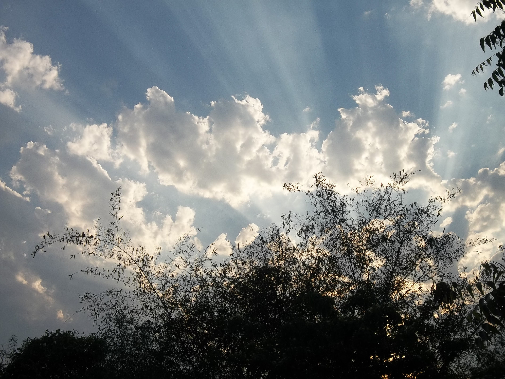 Kodak EASYSHARE CAMERA, M522 sample photo. The beautiful sky photography