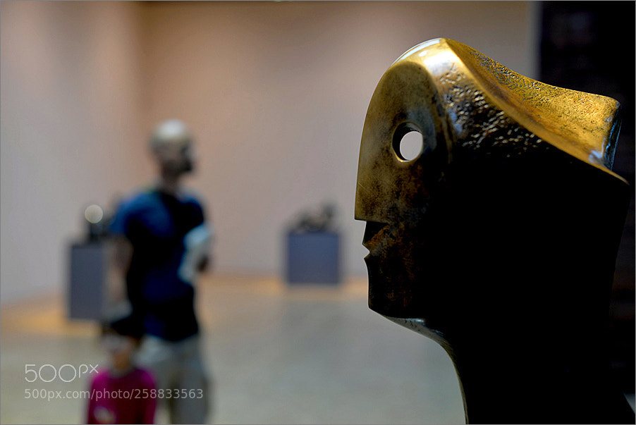 Nikon D610 sample photo. The last head of photography
