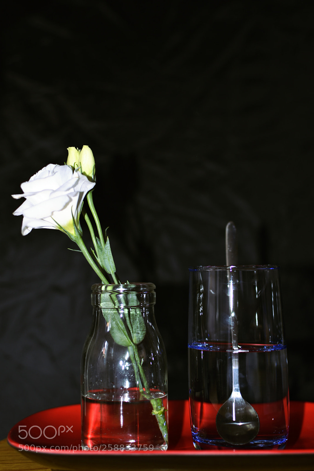 Nikon D3400 sample photo. 誰の花 photography