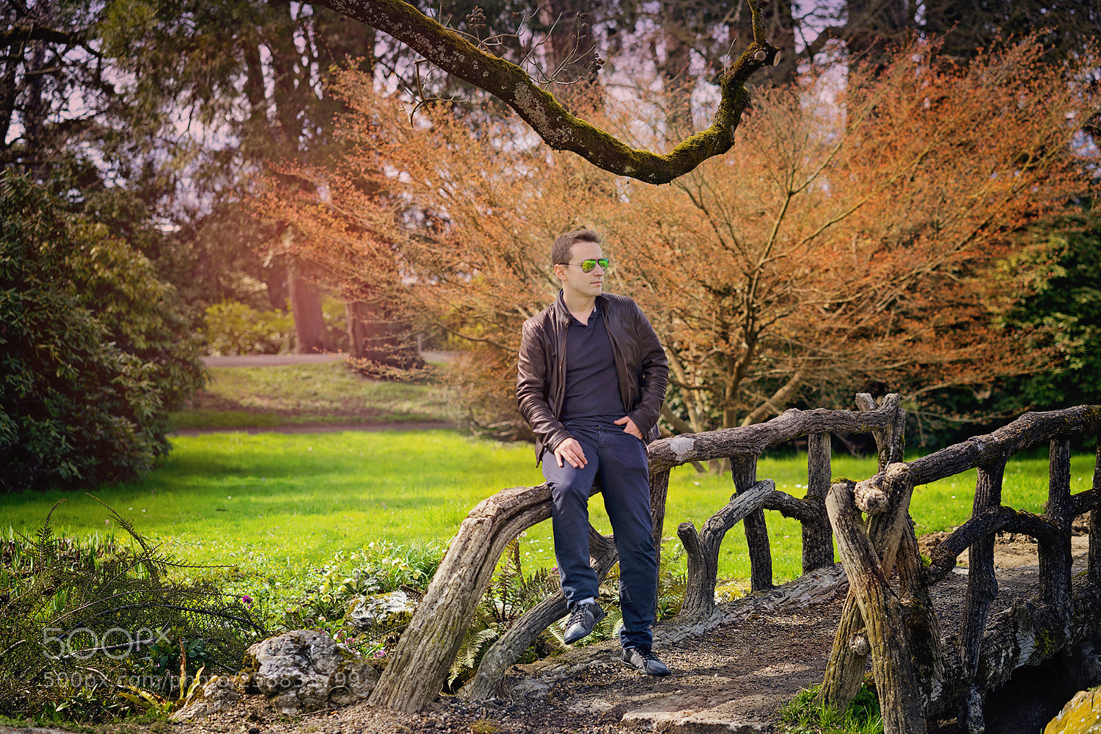 Sony a7 II sample photo. Untitled photography