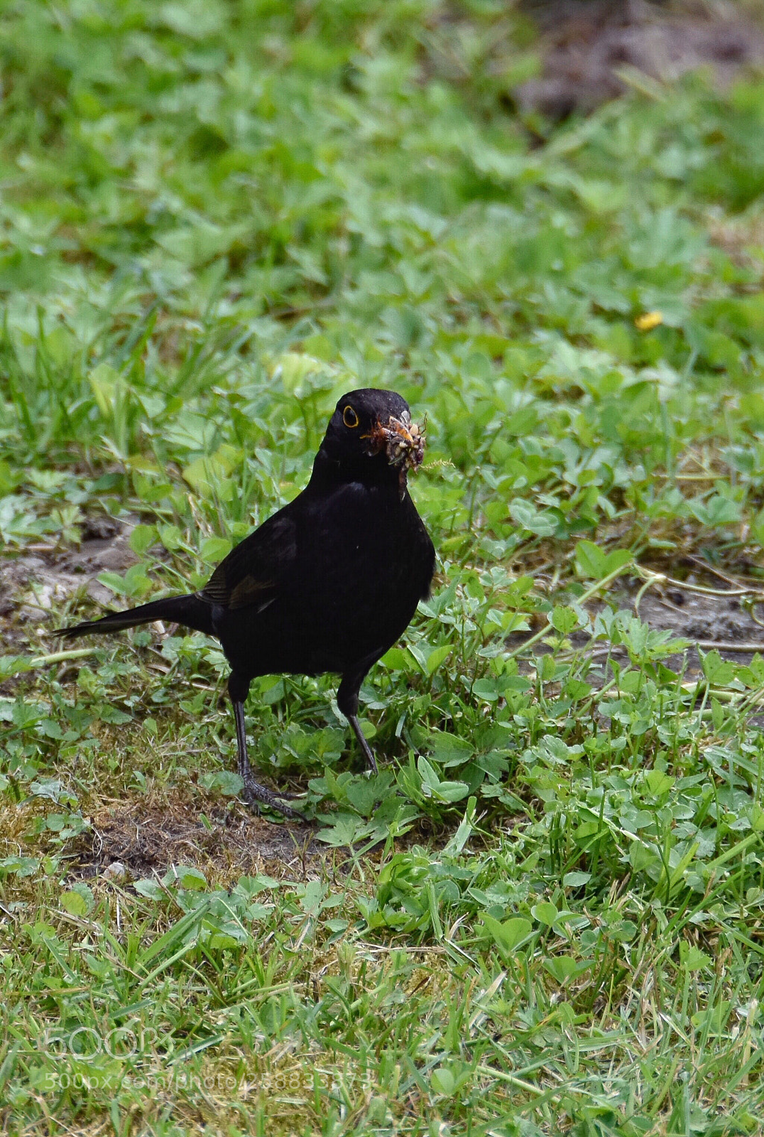 Nikon D7200 sample photo. Untitled photography