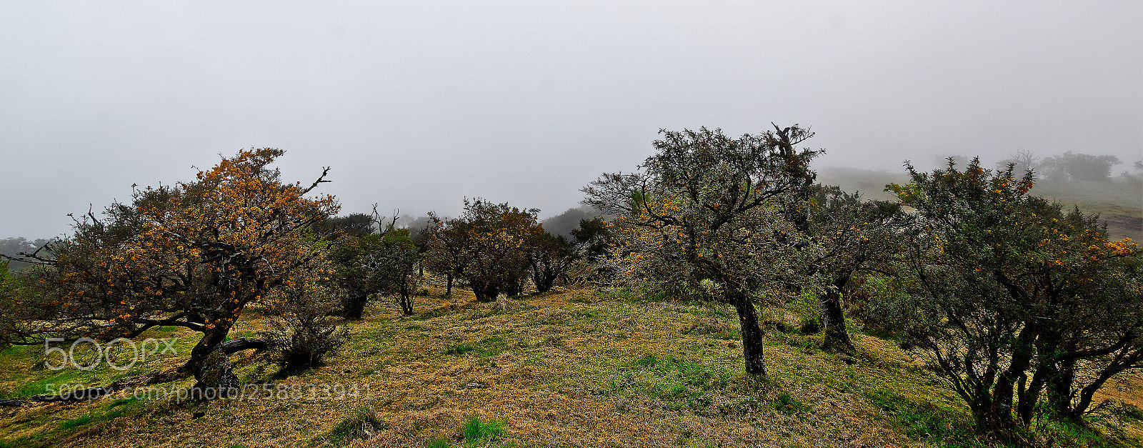 Nikon D7000 sample photo. P turage dans le photography
