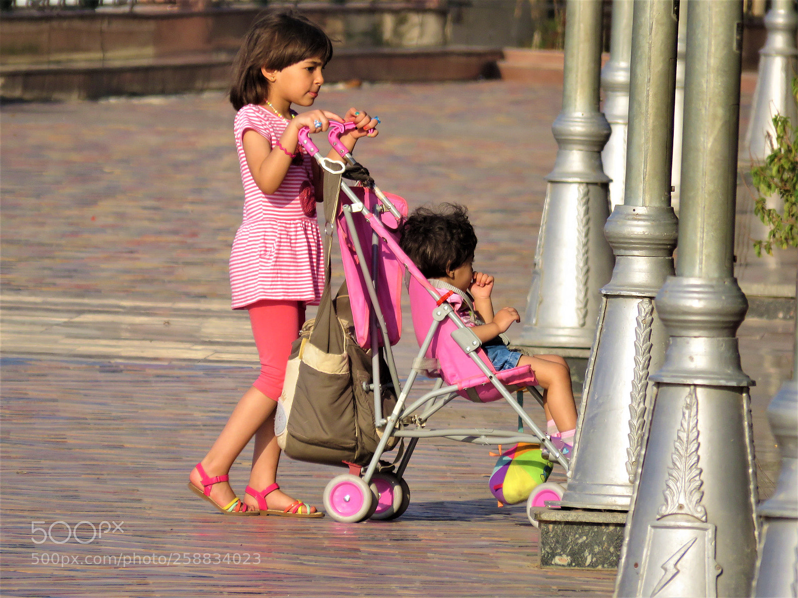 Canon PowerShot SX60 HS sample photo. A daughter being a photography