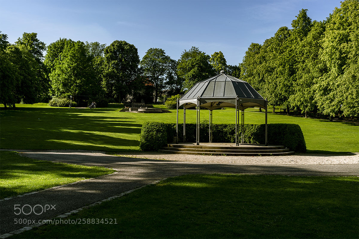 Sony a7R II sample photo. Reutlingen 210518-004 photography