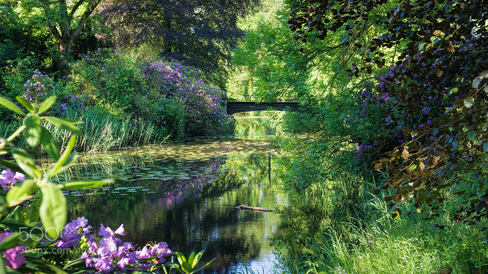 Sony a6000 sample photo. Moat with bridge photography
