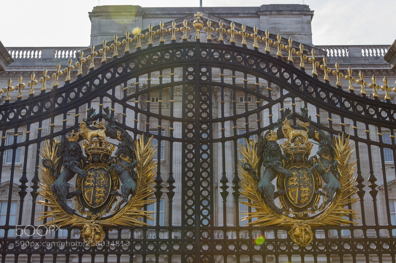 Canon EOS 600D (Rebel EOS T3i / EOS Kiss X5) sample photo. Buckingham palace photography