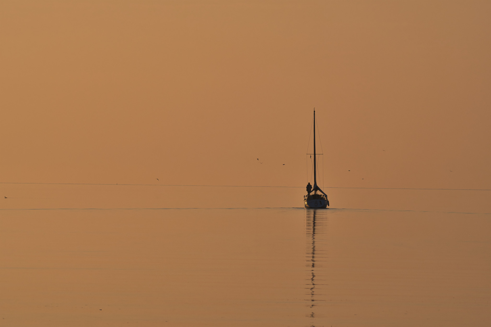 Nikon AF-S Nikkor 200-500mm F5.6E ED VR sample photo. Sail away photography