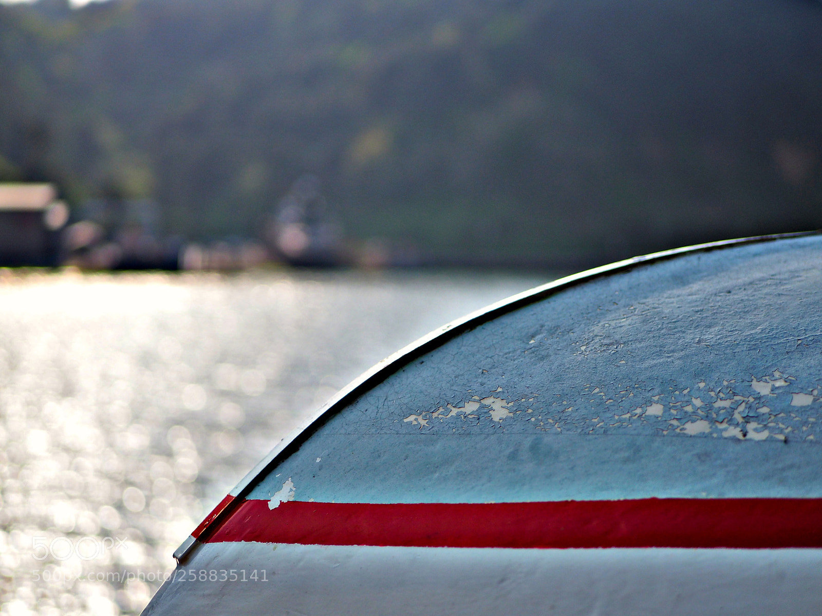 Olympus OM-D E-M5 II sample photo. Untitled photography